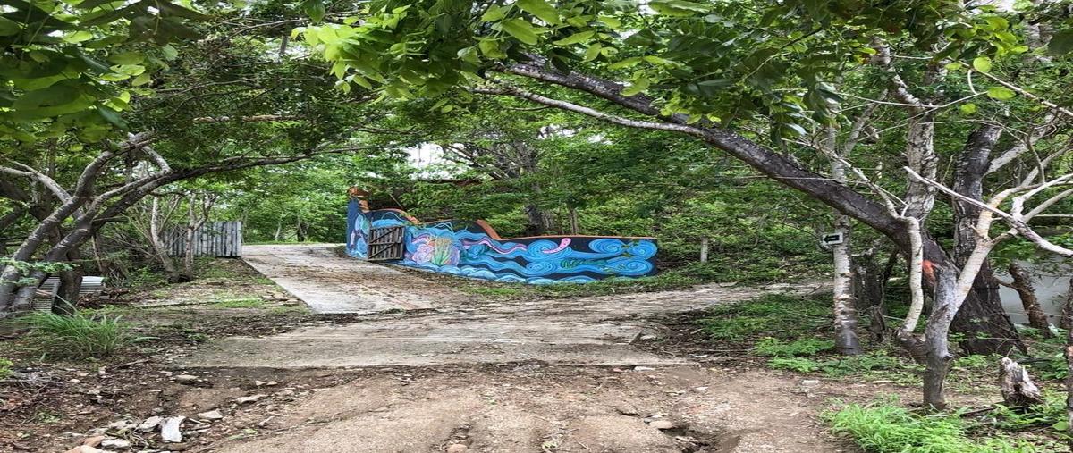 Foto de terreno habitacional en venta en  , playa estacahuite, san pedro pochutla, oaxaca, 0 No. 04