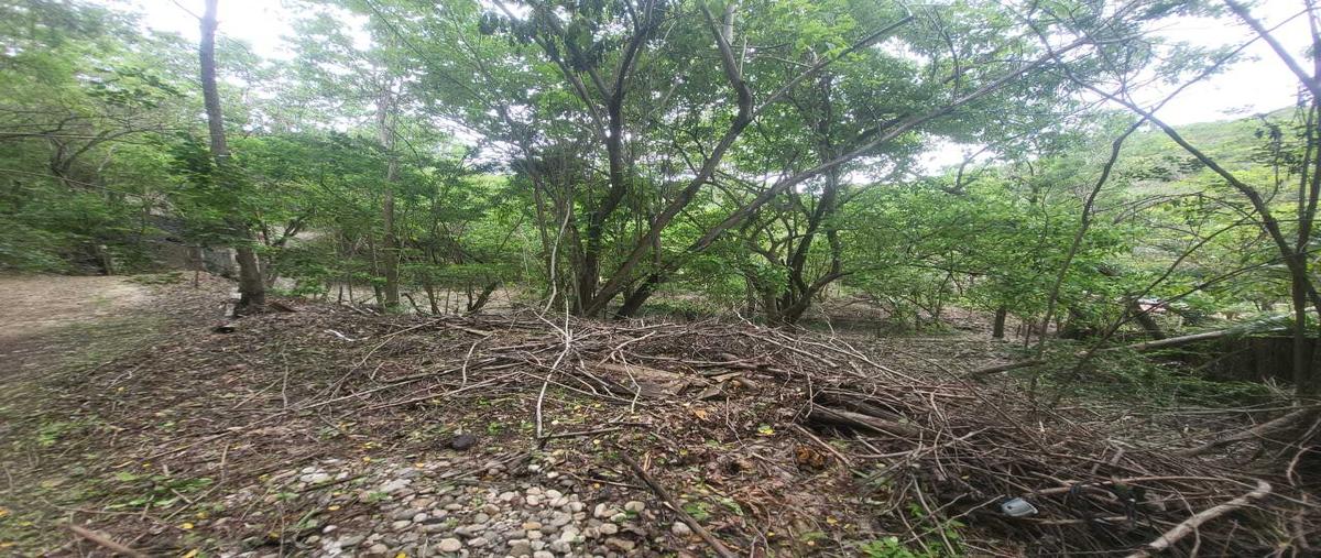 Foto de terreno habitacional en venta en  , playa estacahuite, san pedro pochutla, oaxaca, 0 No. 05