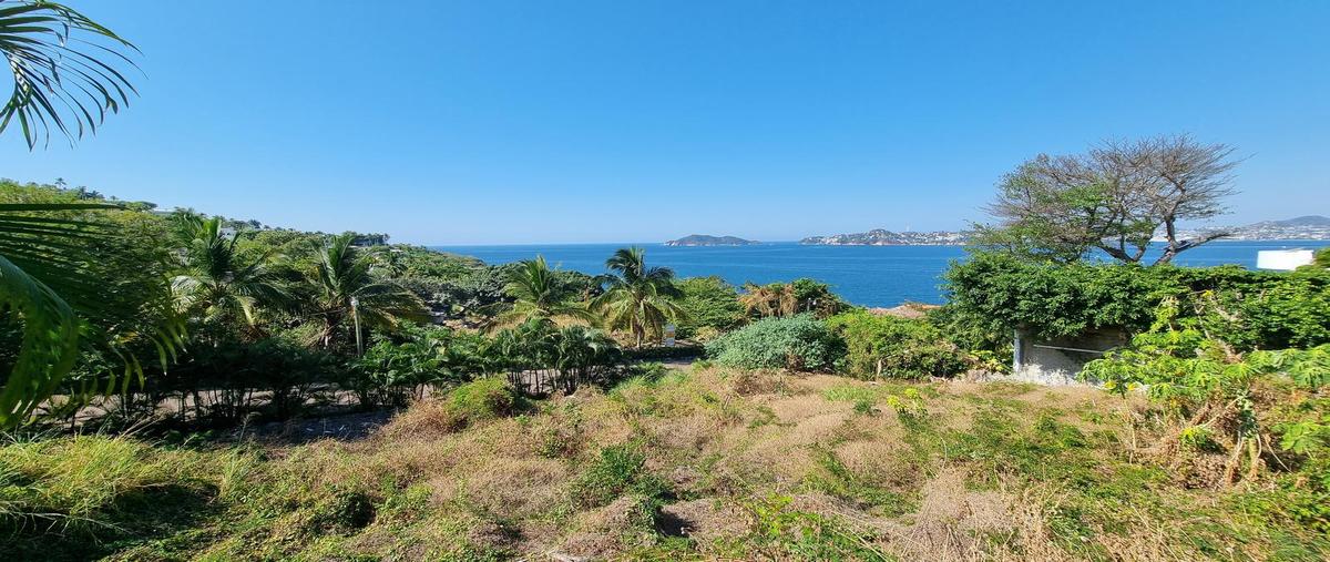 Foto de terreno habitacional en venta en  , playa guitarrón, acapulco de juárez, guerrero, 27098891 No. 05