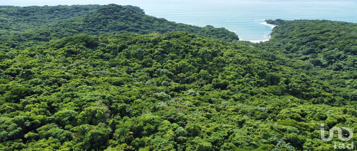 Foto de terreno habitacional en venta en playa las cuevas 211, chacala, compostela, nayarit, 30486517 No. 04