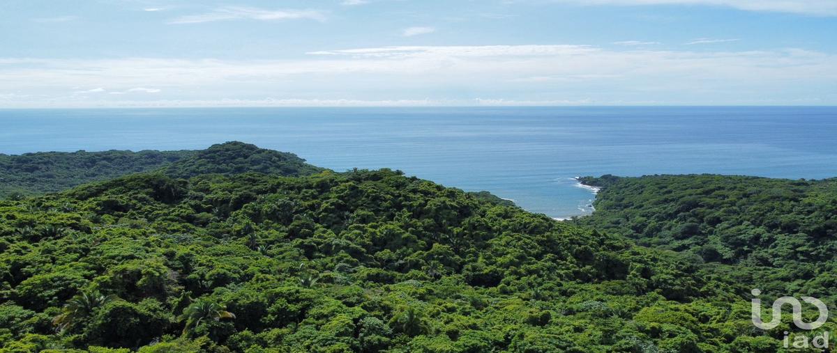 Foto de terreno habitacional en venta en playa las cuevas 211, chacala, compostela, nayarit, 30486517 No. 05