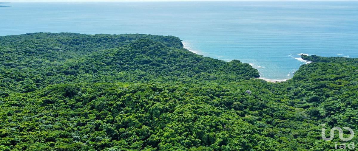Foto de terreno habitacional en venta en playa las cuevas 218, chacala, compostela, nayarit, 30486517 No. 03