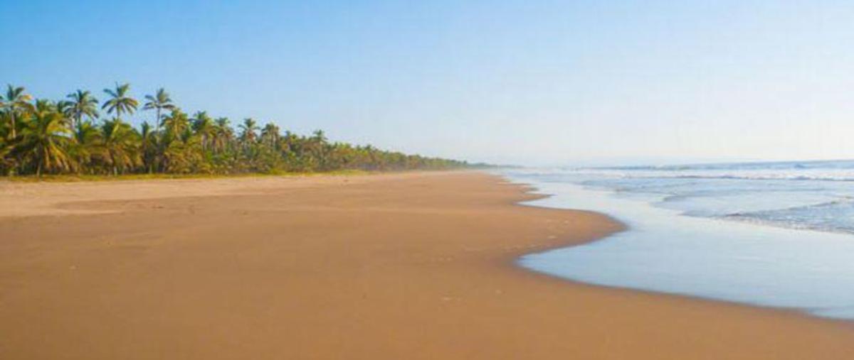 Foto de terreno habitacional en playa las tortugas , compostela centro, compostela, nayarit, 0 foto 02 Foto de terreno habitacional en venta en playa las tortugas , compostela centro, compostela, nayarit, 0 No. 02