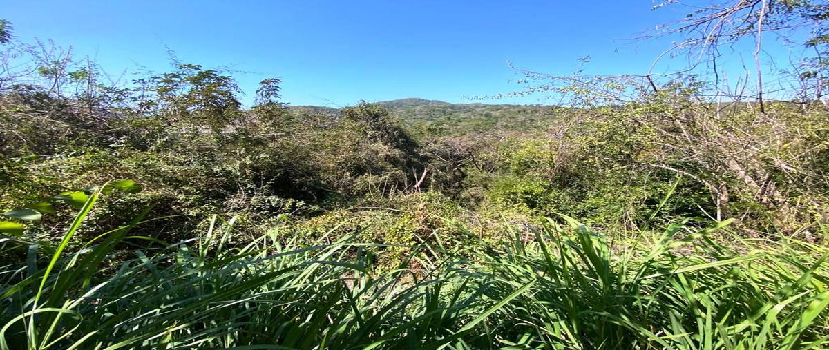 Foto de terreno habitacional en playa linda , zihuatanejo (ixtapa-zihuatanejo), zihuatanejo de azueta, guerrero, 25557540 foto 02 Foto de terreno habitacional en venta en playa linda , zihuatanejo (ixtapa-zihuatanejo), zihuatanejo de azueta, guerrero, 25557540 No. 02