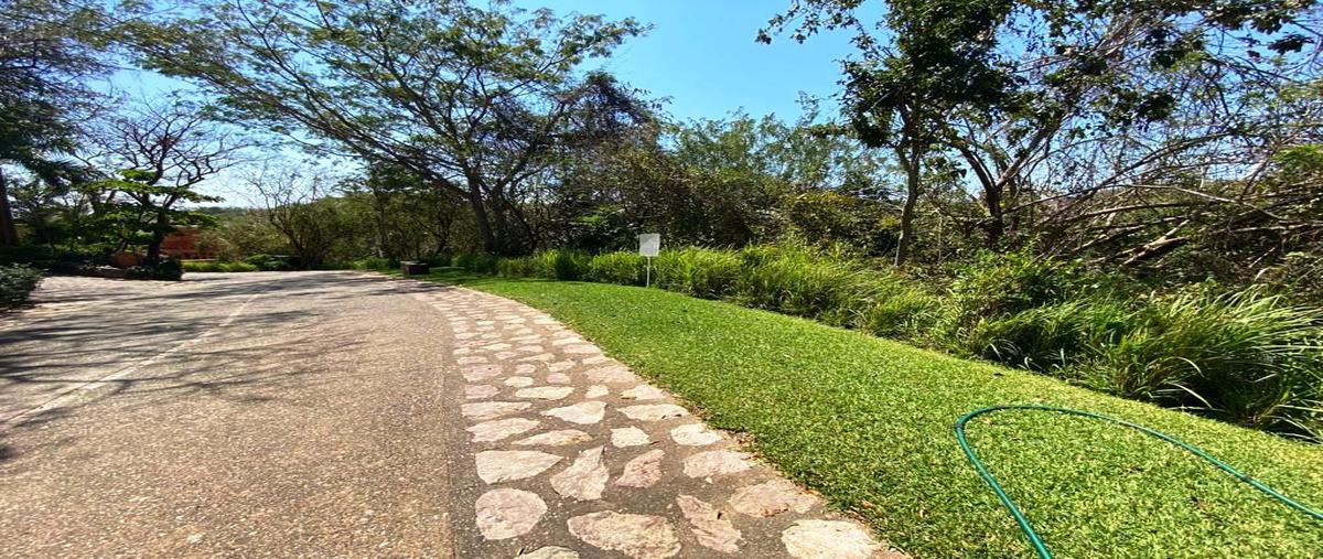 Foto de terreno habitacional en playa linda , zihuatanejo (ixtapa-zihuatanejo), zihuatanejo de azueta, guerrero, 25557540 foto 05 Foto de terreno habitacional en venta en playa linda , zihuatanejo (ixtapa-zihuatanejo), zihuatanejo de azueta, guerrero, 25557540 No. 05