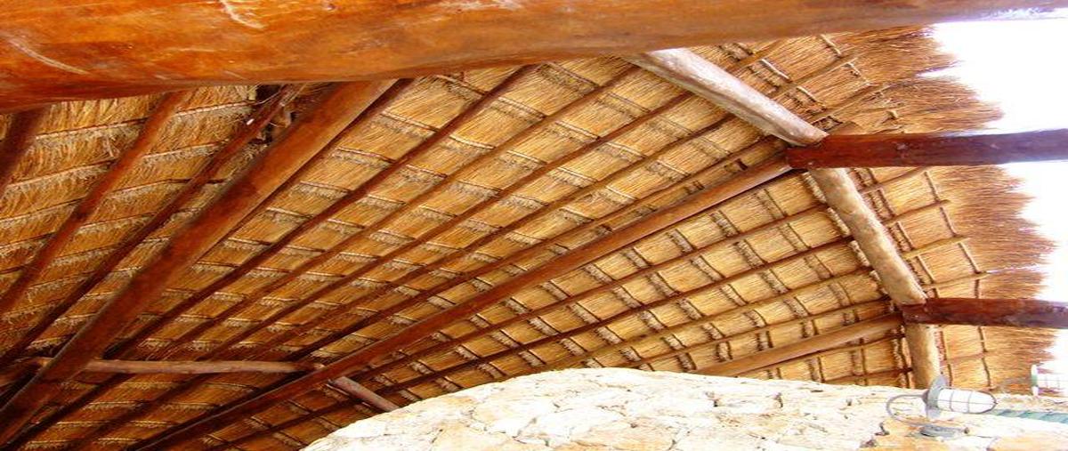 Foto de casa en renta en  , playa magna, solidaridad, quintana roo, 0 No. 05
