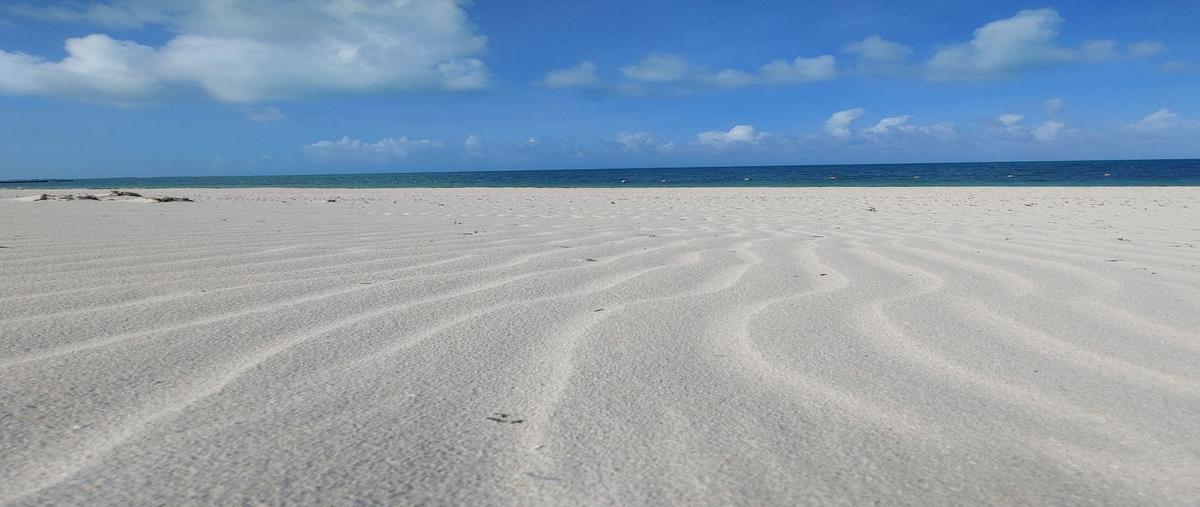 Foto de terreno habitacional en venta en playa mujeres , cancún centro, benito juárez, quintana roo, 0 No. 04