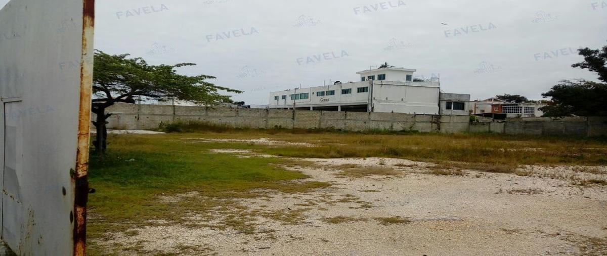Foto de terreno habitacional en renta en  , playa norte, carmen, campeche, 27573680 No. 03
