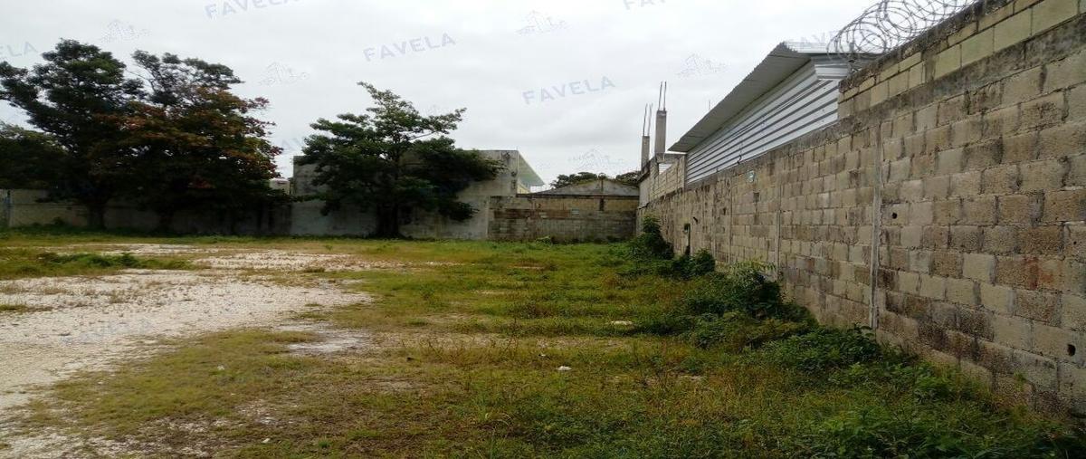 Foto de terreno habitacional en renta en  , playa norte, carmen, campeche, 27573680 No. 04