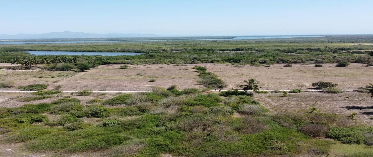 Foto de terreno habitacional en venta en  , playa novillero, tecuala, nayarit, 26384836 No. 05