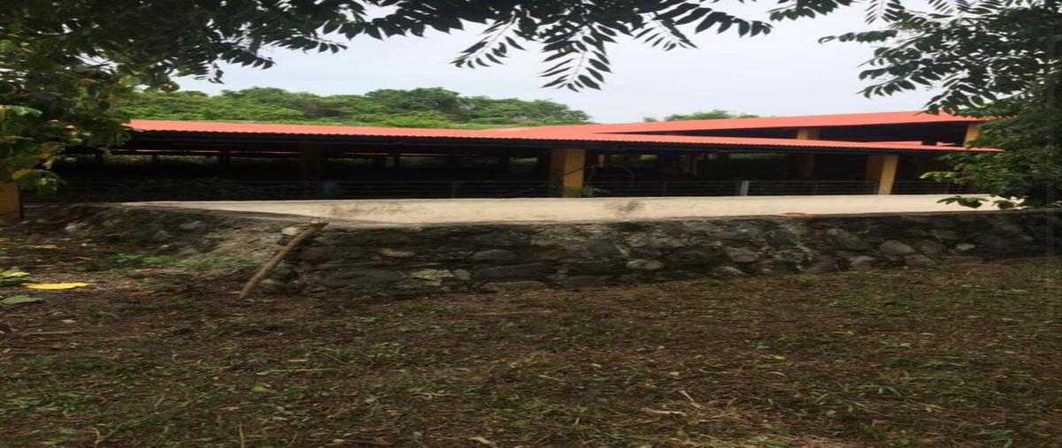Foto de casa en venta en  , playa oriente, la antigua, veracruz de ignacio de la llave, 23650270 No. 03