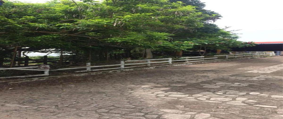 Foto de casa en venta en  , playa oriente, la antigua, veracruz de ignacio de la llave, 0 No. 04