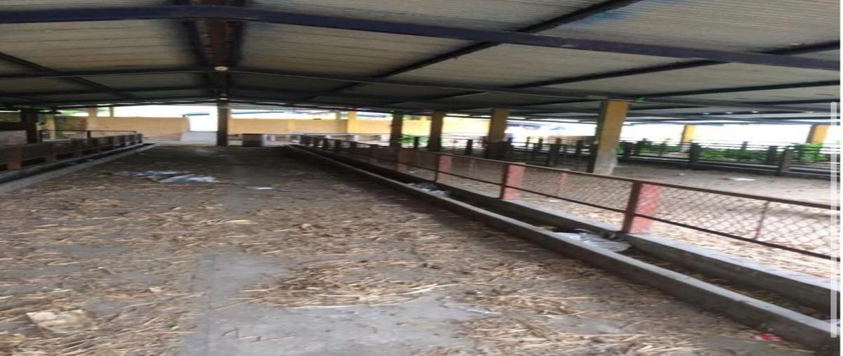 Foto de casa en venta en  , playa oriente, la antigua, veracruz de ignacio de la llave, 0 No. 05