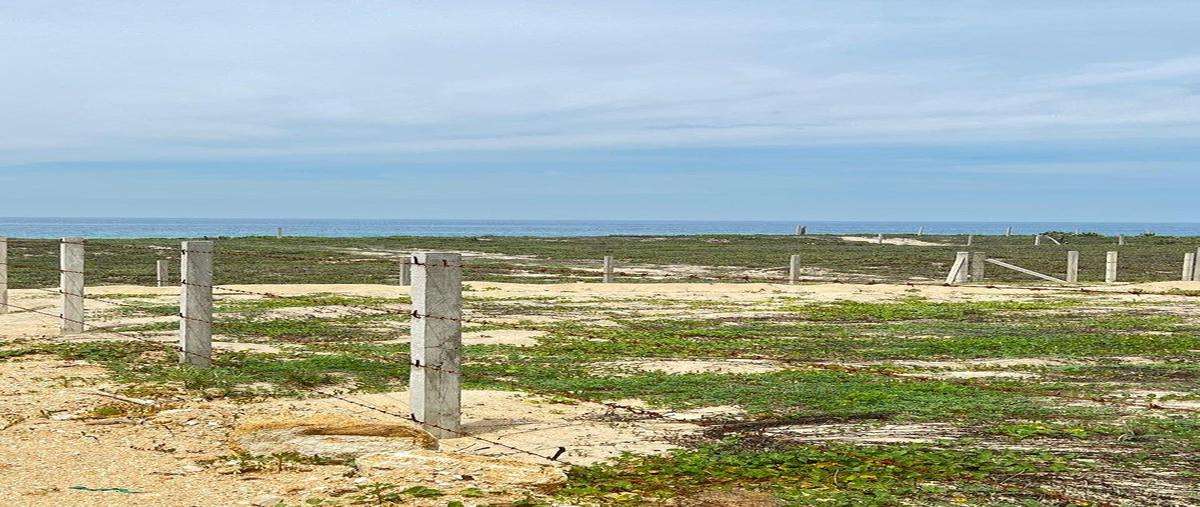 Foto de terreno habitacional en venta en playa palmarito /bajos de chila , bajos de chila, san pedro mixtepec -dto. 22 -, oaxaca, 0 No. 03