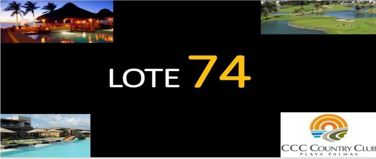 Foto de terreno habitacional en venta en  , playa palmas, carmen, campeche, 27611045 No. 05