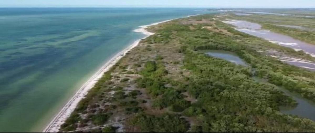Foto de terreno habitacional en venta en playa san joaquín , calkini centro, calkiní, campeche, 0 No. 03