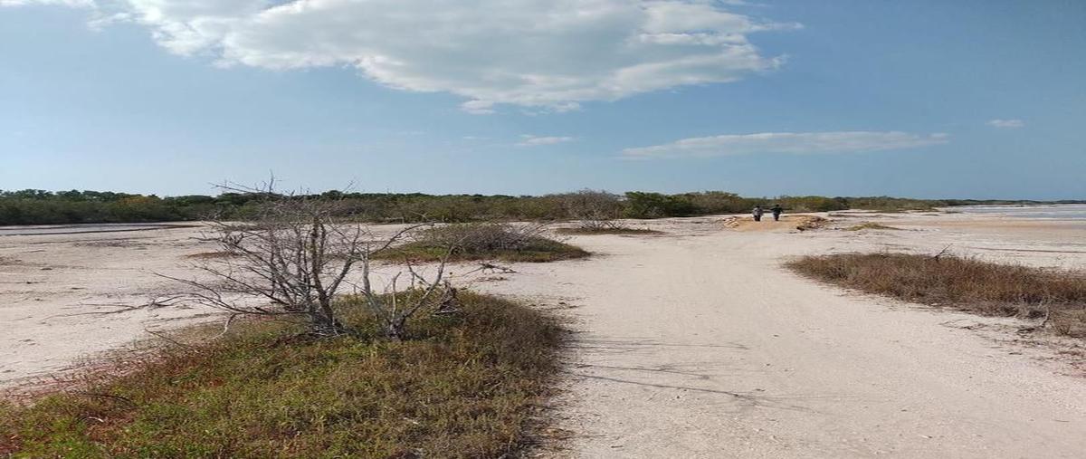 Foto de terreno habitacional en venta en playa san joaquín , calkini centro, calkiní, campeche, 0 No. 04