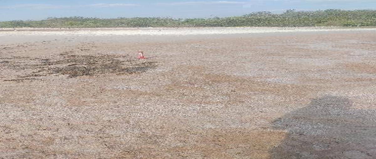Foto de terreno habitacional en venta en playa san joaquín , calkini centro, calkiní, campeche, 0 No. 05
