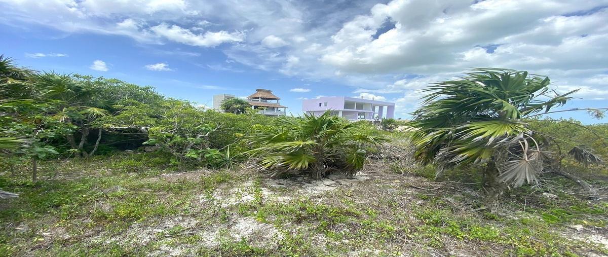 Foto de terreno habitacional en playa , sisal, hunucmá, yucatán, 0 foto 01 Foto de terreno habitacional en venta en playa , sisal, hunucmá, yucatán, 0 No. 01