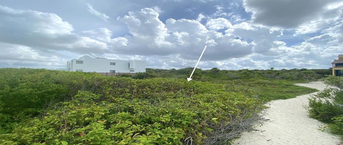 Foto de terreno habitacional en playa , sisal, hunucmá, yucatán, 0 foto 02 Foto de terreno habitacional en venta en playa , sisal, hunucmá, yucatán, 0 No. 02