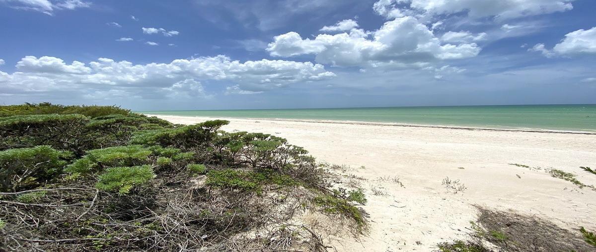 Foto de terreno habitacional en playa , sisal, hunucmá, yucatán, 0 foto 04 Foto de terreno habitacional en venta en playa , sisal, hunucmá, yucatán, 0 No. 04