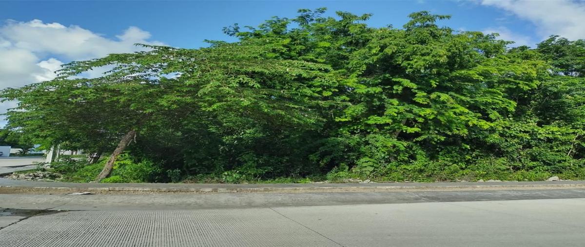 Foto de terreno habitacional en venta en  , playa sol, solidaridad, quintana roo, 0 No. 05