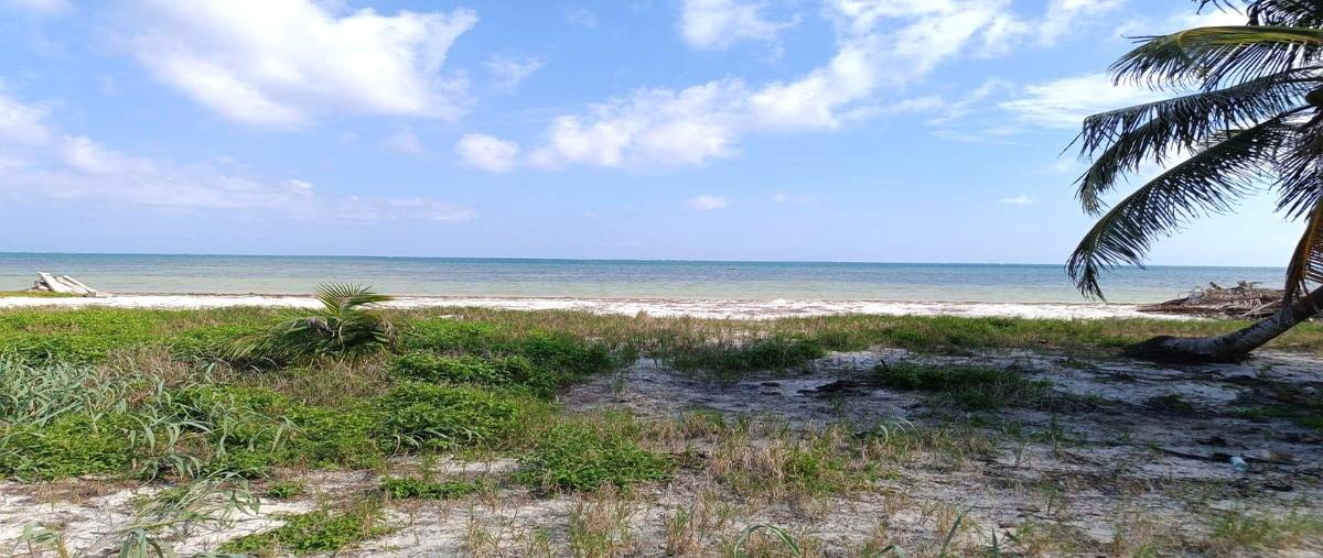 Foto de terreno habitacional en venta en  , playa uvero, othón p. blanco, quintana roo, 30673952 No. 03