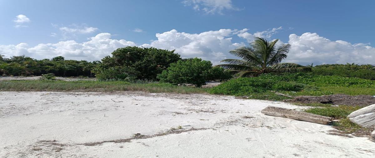 Foto de terreno habitacional en venta en  , playa uvero, othón p. blanco, quintana roo, 30673952 No. 04