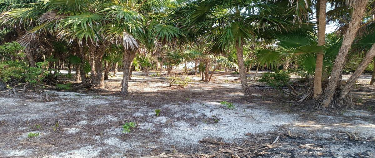 Foto de terreno habitacional en venta en  , playa uvero, othón p. blanco, quintana roo, 30673952 No. 05