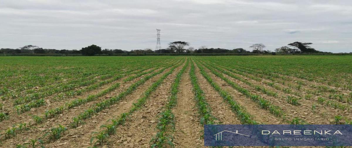 Foto de terreno habitacional en , playa vicente centro, playa vicente, veracruz de ignacio de la llave, 0 foto 01 Foto de terreno habitacional en venta en , playa vicente centro, playa vicente, veracruz de ignacio de la llave, 0 No. 01