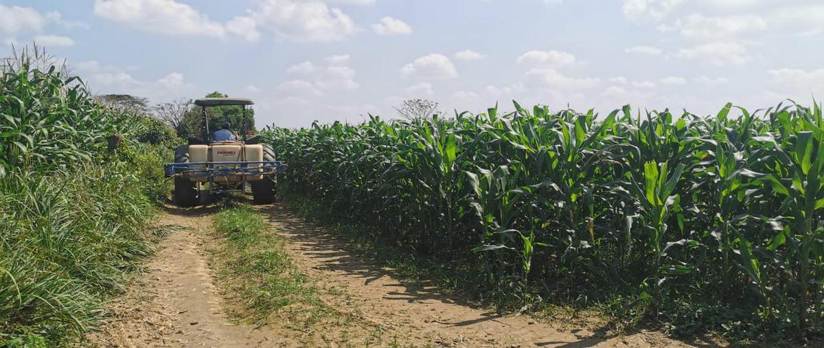 Foto de terreno habitacional en , playa vicente centro, playa vicente, veracruz de ignacio de la llave, 0 foto 02 Foto de terreno habitacional en venta en , playa vicente centro, playa vicente, veracruz de ignacio de la llave, 0 No. 02