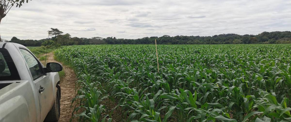 Foto de terreno habitacional en , playa vicente centro, playa vicente, veracruz de ignacio de la llave, 0 foto 03 Foto de terreno habitacional en venta en , playa vicente centro, playa vicente, veracruz de ignacio de la llave, 0 No. 03