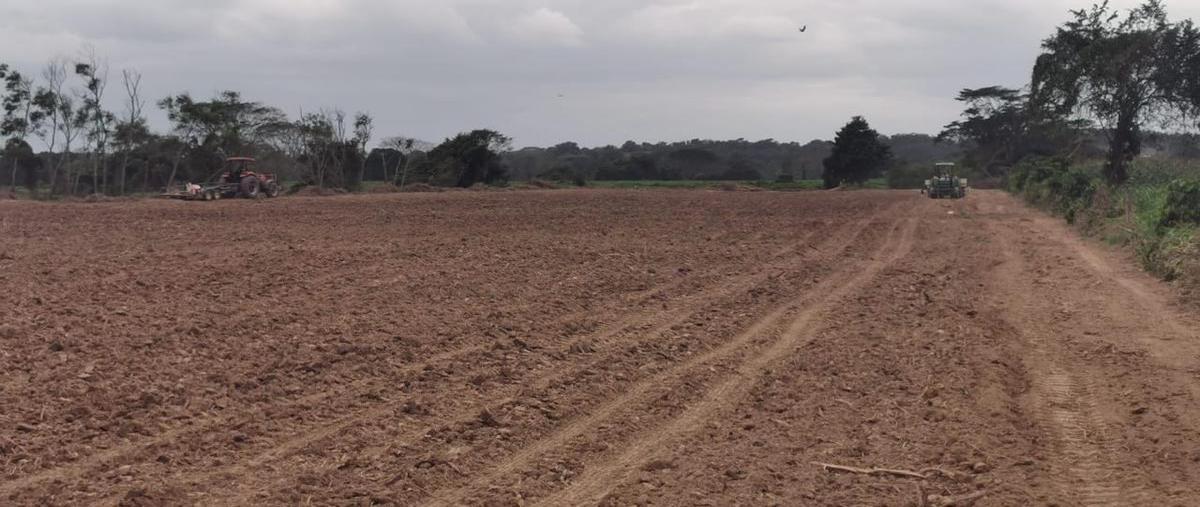 Foto de terreno habitacional en , playa vicente centro, playa vicente, veracruz de ignacio de la llave, 0 foto 04 Foto de terreno habitacional en venta en , playa vicente centro, playa vicente, veracruz de ignacio de la llave, 0 No. 04