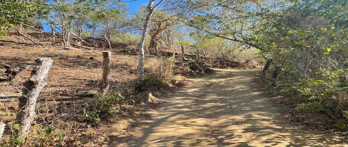 Foto de terreno habitacional en venta en  , playa zipolite, san pedro pochutla, oaxaca, 0 No. 05