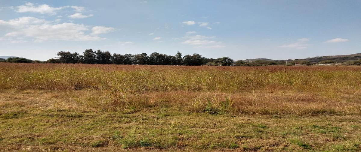 Foto de terreno comercial en venta en playas de cajititlan , santa rosa, ixtlahuacán de los membrillos, jalisco, 0 No. 04
