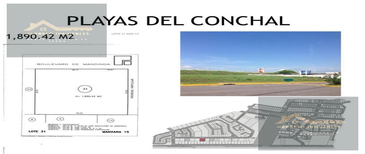 Foto de terreno habitacional en venta en  , playas de conchal, alvarado, veracruz de ignacio de la llave, 29245538 No. 03