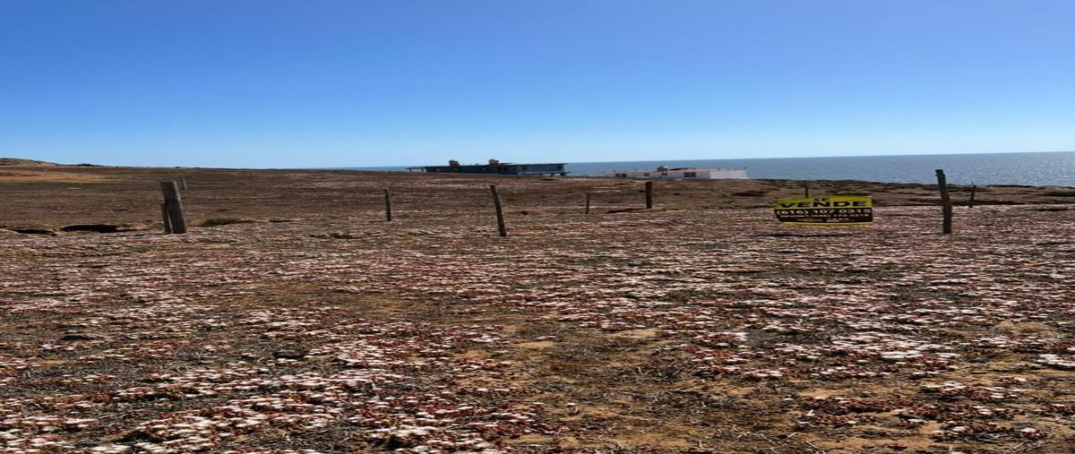 Foto de terreno habitacional en venta en  , playas de la vicente guerrero, san quintín, baja california, 27281985 No. 03