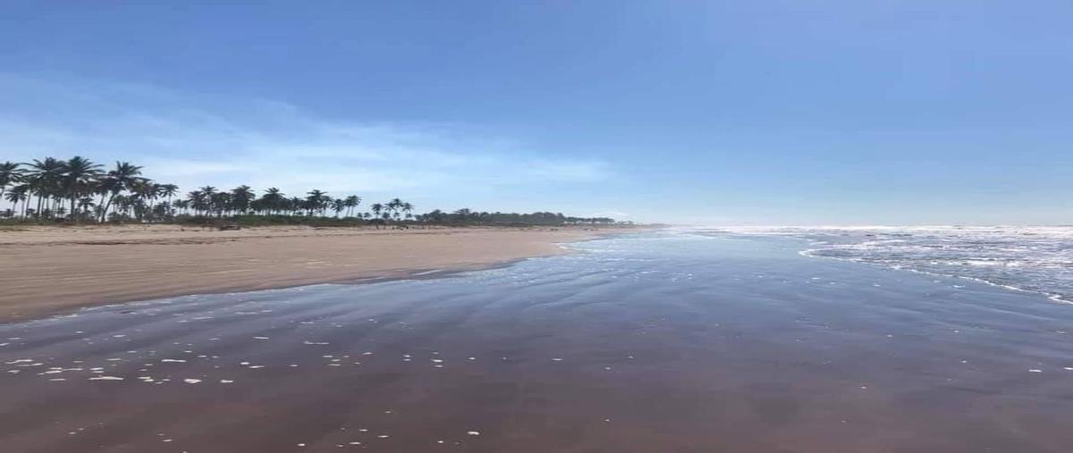 Foto de terreno comercial en venta en playas del palmar , san cayetano, tepic, nayarit, 0 No. 01