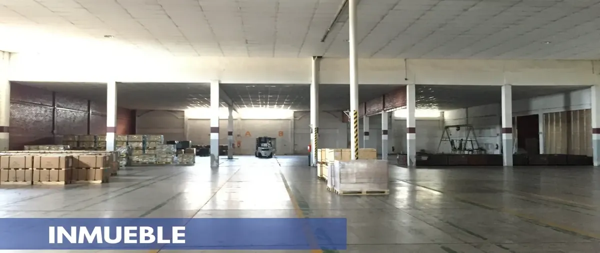 Foto de bodega en renta en  , plaza jumbo, torreón, coahuila de zaragoza, 30343675 No. 04