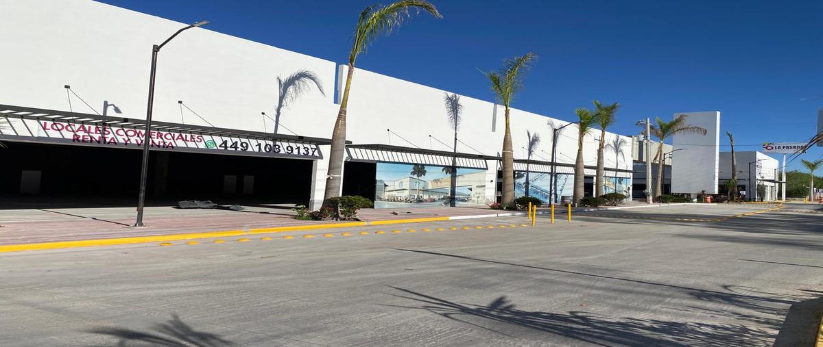 Foto de local en renta en plaza las cavas , las cavas, aguascalientes, aguascalientes, 29851616 No. 03