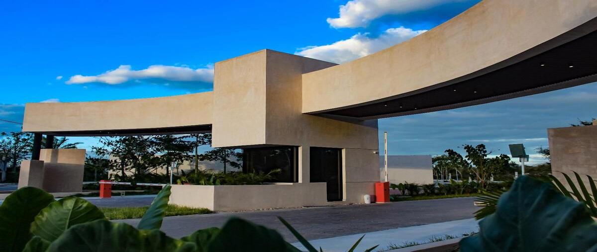 Foto de terreno habitacional en venta en plenum , cholul, mérida, yucatán, 30294629 No. 03