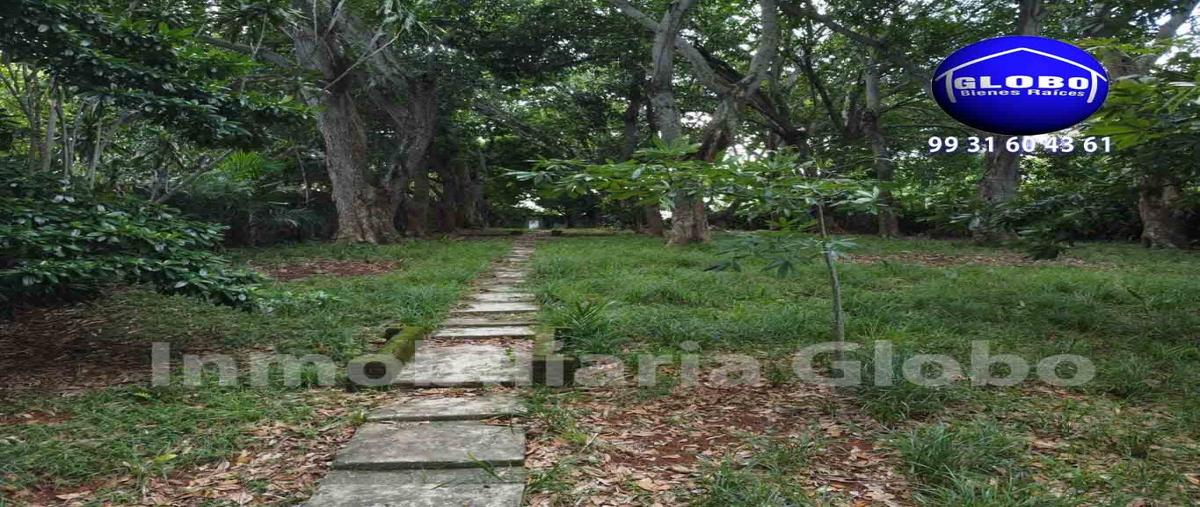Foto de casa en venta en plutarco elías calles 1000, jesús garcia, centro, tabasco, 27493584 No. 05