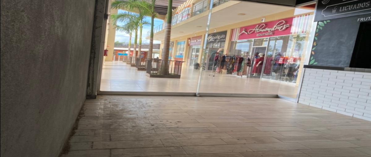 Foto de local en renta en  , plutarco elias calles cura hueso, centro, tabasco, 0 No. 03