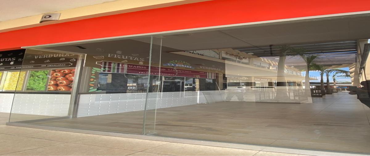 Foto de local en renta en  , plutarco elias calles cura hueso, centro, tabasco, 0 No. 04