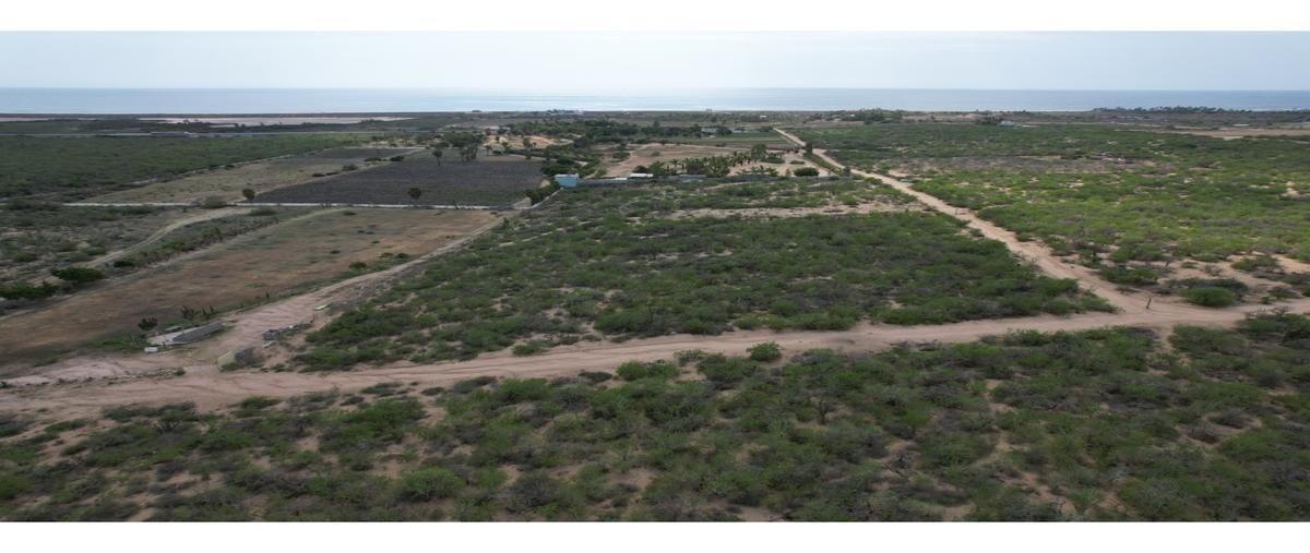 Foto de bodega en venta en  , plutarco elias calles, la paz, baja california sur, 0 No. 02