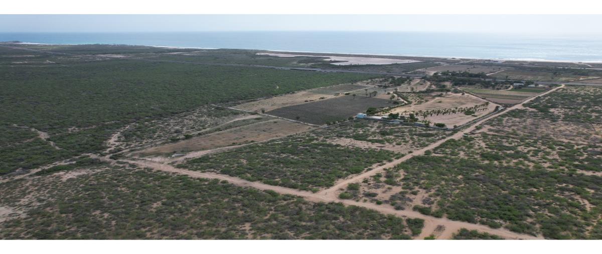 Foto de bodega en venta en  , plutarco elias calles, la paz, baja california sur, 0 No. 04