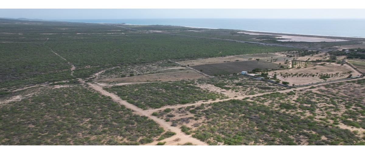 Foto de bodega en venta en  , plutarco elias calles, la paz, baja california sur, 0 No. 05