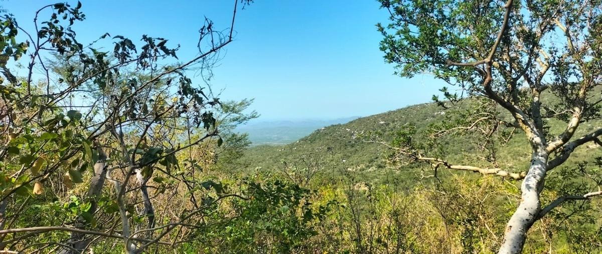 Foto de terreno habitacional en venta en  , plutarco elias calles, la paz, baja california sur, 29477905 No. 03