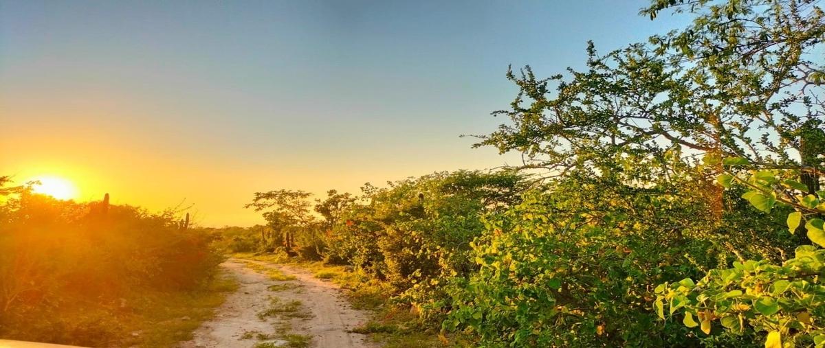 Foto de terreno habitacional en venta en  , plutarco elias calles, la paz, baja california sur, 29477905 No. 05