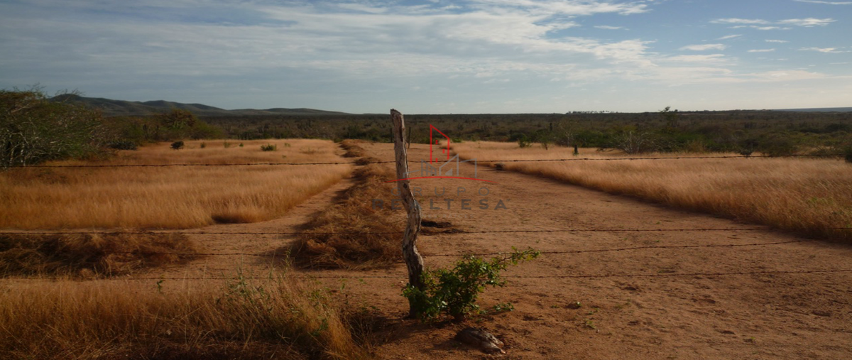 Foto de terreno habitacional en venta en  , plutarco elias calles, la paz, baja california sur, 4379452 No. 05